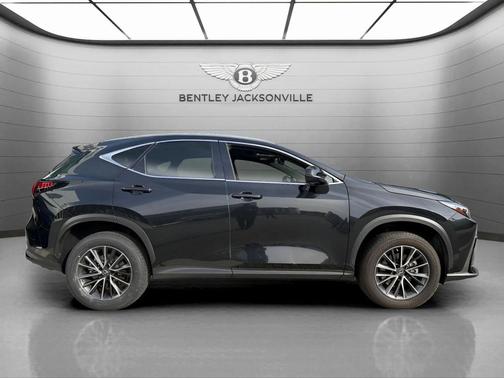2023 Lexus NX 350h AWD