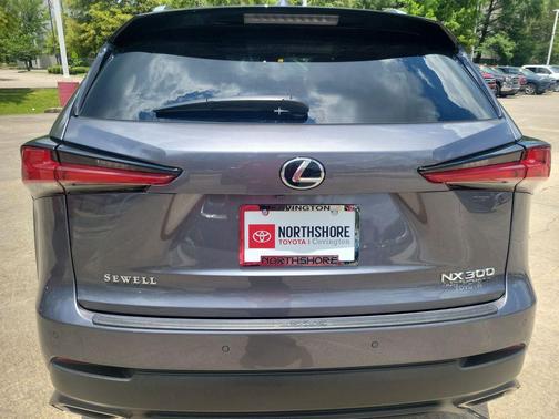 Gray Pearl 2021 Lexus NX 300 Base