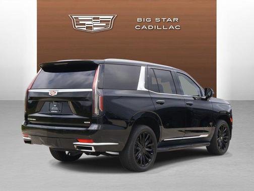 Black Raven 2023 Cadillac Escalade Luxury