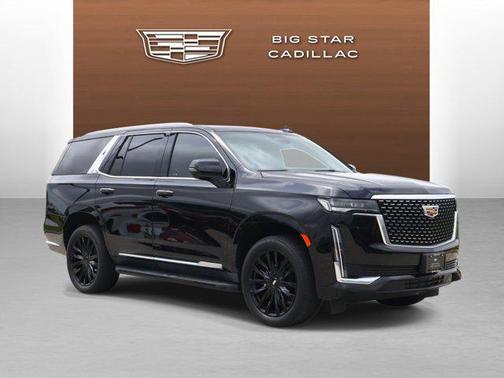 Black Raven 2023 Cadillac Escalade Luxury