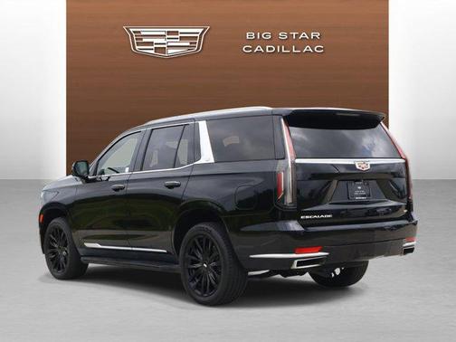 Black Raven 2023 Cadillac Escalade Luxury