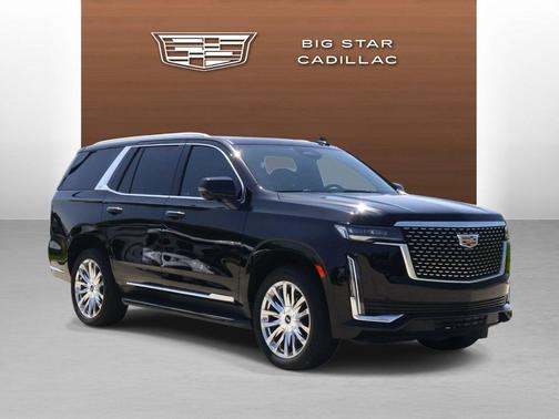 Black Raven 2022 Cadillac Escalade Premium Luxury