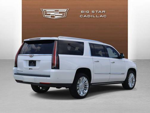2019 Cadillac Escalade ESV Platinum