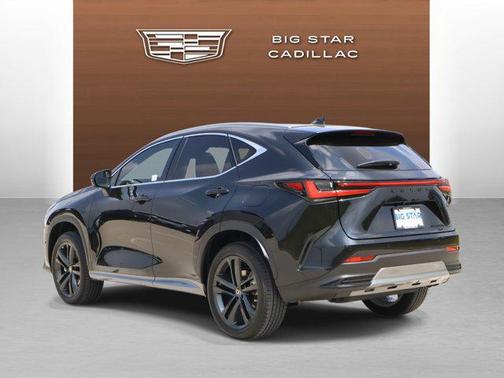 2025 Lexus NX 450h+ Luxury
