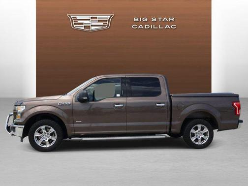 Caribou Metallic 2015 Ford F-150 XLT
