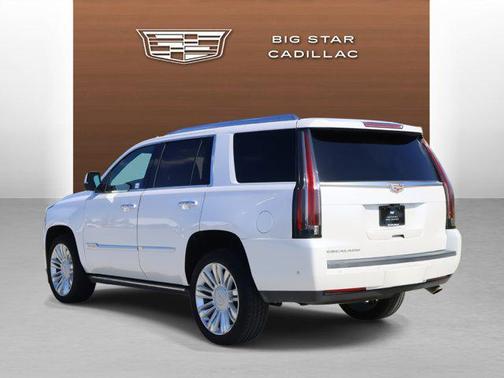 2019 Cadillac Escalade Platinum