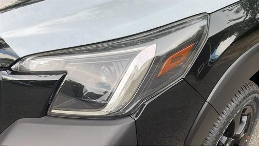 2025 Subaru Forester Wilderness