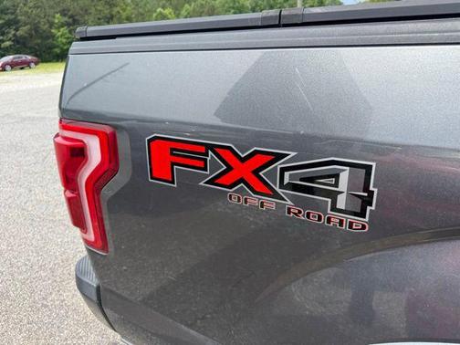 Magnetic Metallic 2015 Ford F-150 Platinum