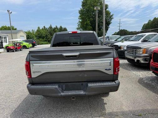 Magnetic Metallic 2015 Ford F-150 Platinum