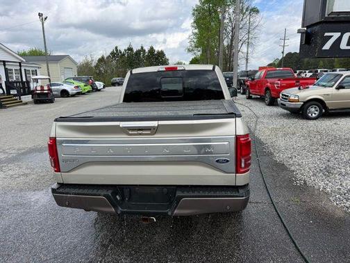 White Gold 2017 Ford F-150 Platinum