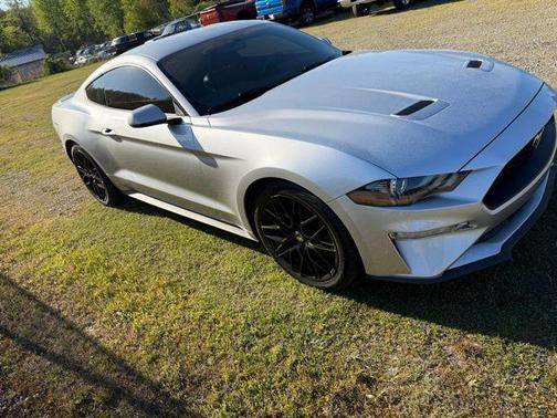 Ingot Silver Metallic 2019 Ford Mustang EcoBoost Premium