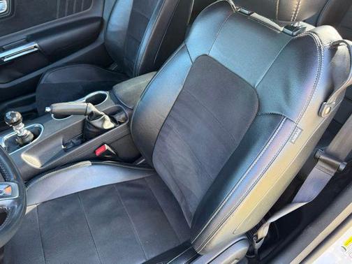 Ingot Silver Metallic 2019 Ford Mustang EcoBoost Premium