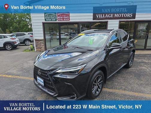 2025 Lexus NX 350h Luxury