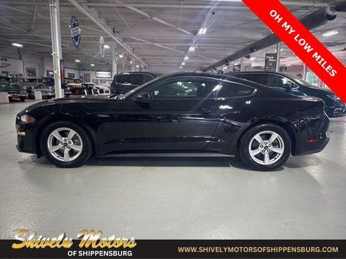 2022 Ford Mustang EcoBoost