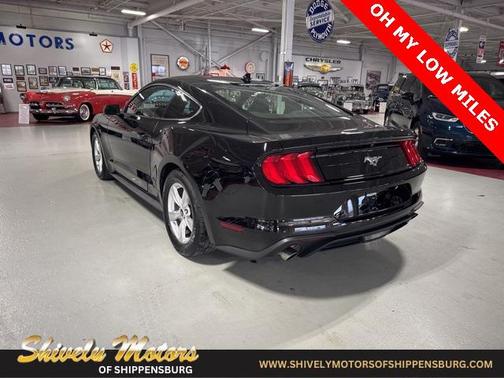 2022 Ford Mustang EcoBoost