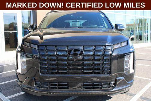 Abyss Black Pearl 2024 Hyundai PALISADE Calligraphy Night Edition