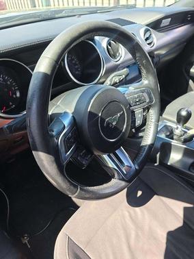 Magnetic Metallic 2019 Ford Mustang GT
