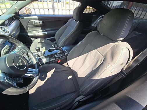 Magnetic Metallic 2019 Ford Mustang GT