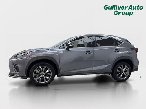 Gray Pearl 2020 Lexus NX 300 F Sport