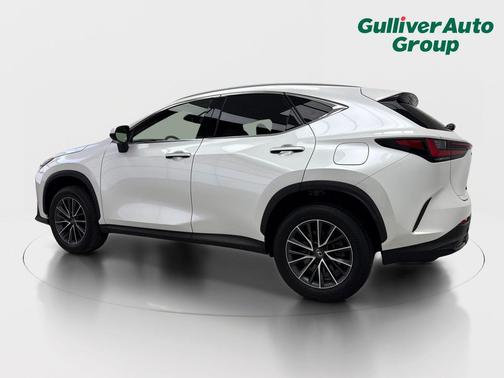 White Pearl 2024 Lexus NX 250 Base