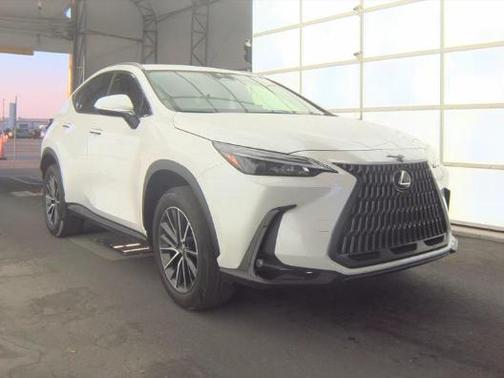 White Pearl 2024 Lexus NX 250 Base