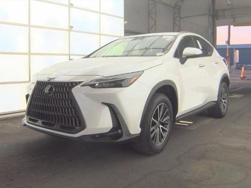 White Pearl 2024 Lexus NX 250 Base