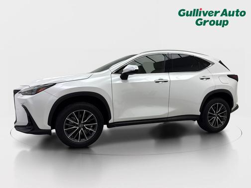 White Pearl 2024 Lexus NX 250 Base