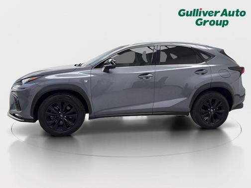 Nebula Gray Pearl 2021 Lexus NX 300 F Sport