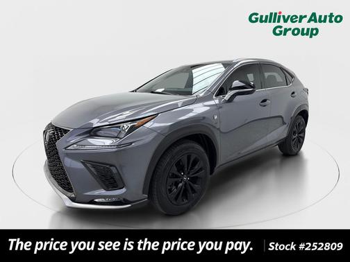 Nebula Gray Pearl 2021 Lexus NX 300 F Sport