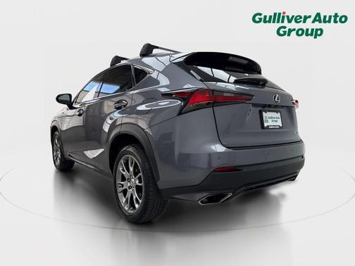 Nebula Gray Pearl 2018 Lexus NX 300 Base