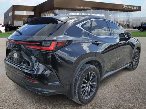 2024 Lexus NX 350 Premium