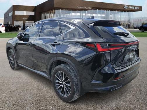 2024 Lexus NX 350 Premium