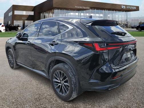 2024 Lexus NX 350 Premium