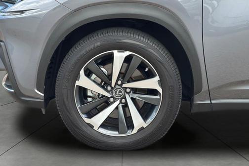 Nebula Gray Pearl 2021 Lexus NX 300 Base