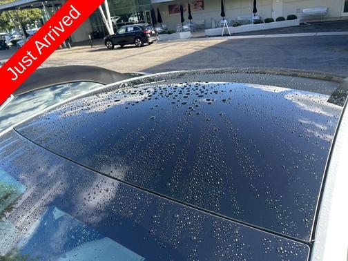 2021 Tesla Model Y Performance Dual Motor All-Wheel Drive