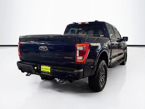 Agate Black Metallic 2022 Ford F-150 Tremor