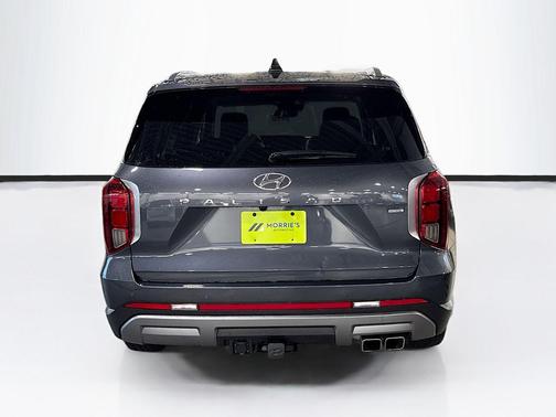 Steel Graphite 2025 Hyundai PALISADE Limited
