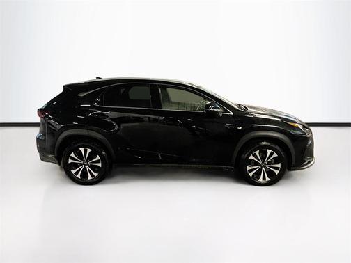 2019 Lexus NX 300 F Sport