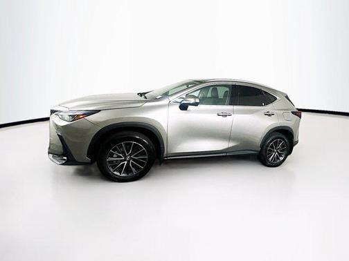 2025 Lexus NX 250 Premium