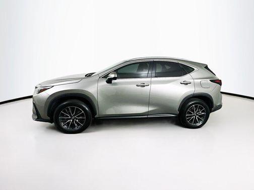 2025 Lexus NX 250 Premium