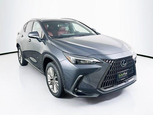 2022 Lexus NX 350h Luxury