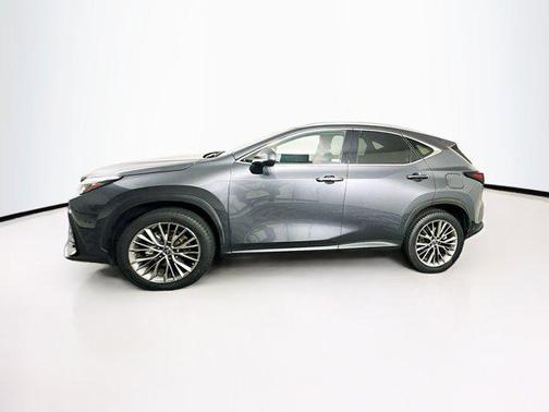 2022 Lexus NX 350h Luxury