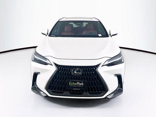 2025 Lexus NX 250 Base
