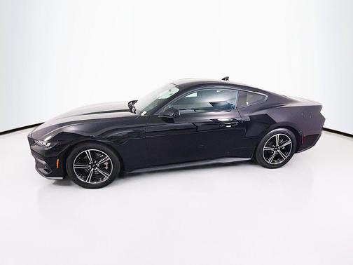 Shadow Black 2025 Ford Mustang EcoBoost