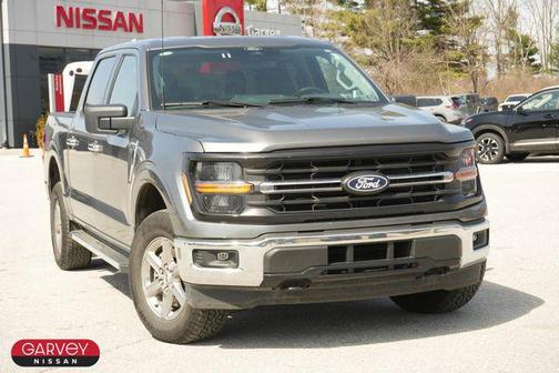 Gray Metallic 2025 Ford F-150 XLT