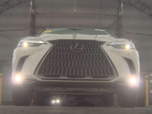 2024 Lexus NX 250 250 Premium