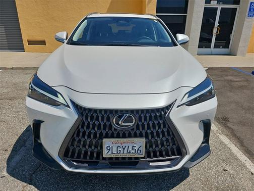 2024 Lexus NX 250 Premium