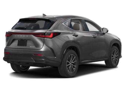Gray 2025 Lexus NX 250 Premium