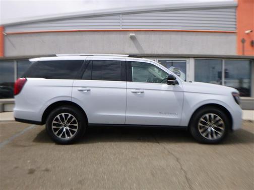 Space Silver Metallic 2025 Ford Expedition Platinum