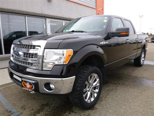 Kodiak Brown Metallic 2014 Ford F-150 XLT